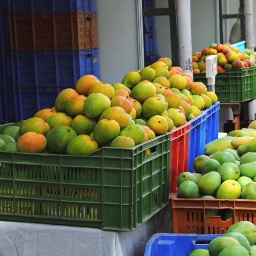 mangoes-9