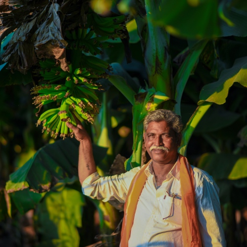 Farmer Empowerment