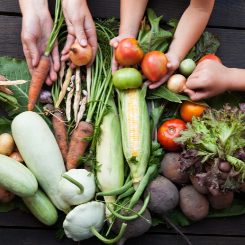 Sustainable Farming